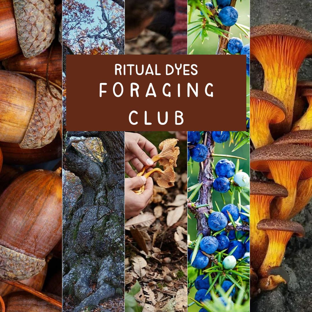 Ritual Dyes Foraging Club
