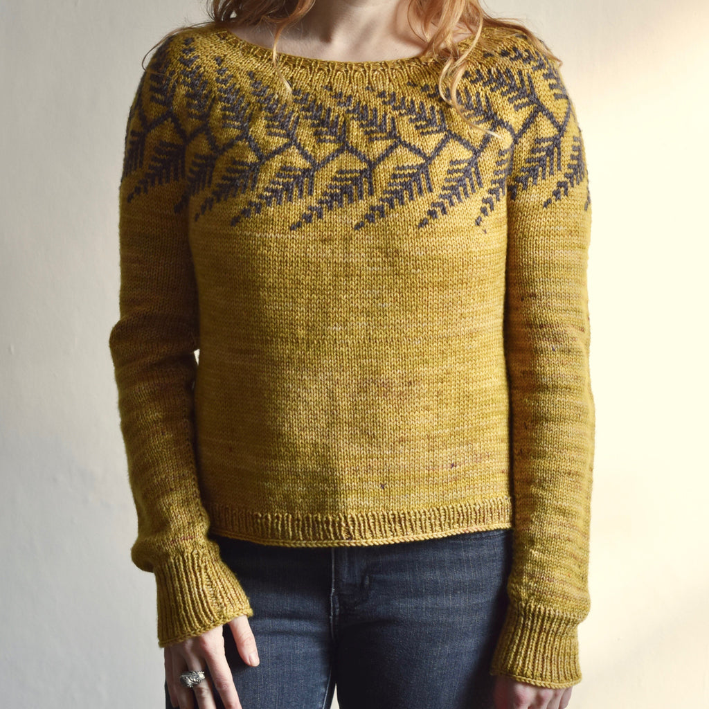 Forestland Sweater Kit by Jenn Steingass